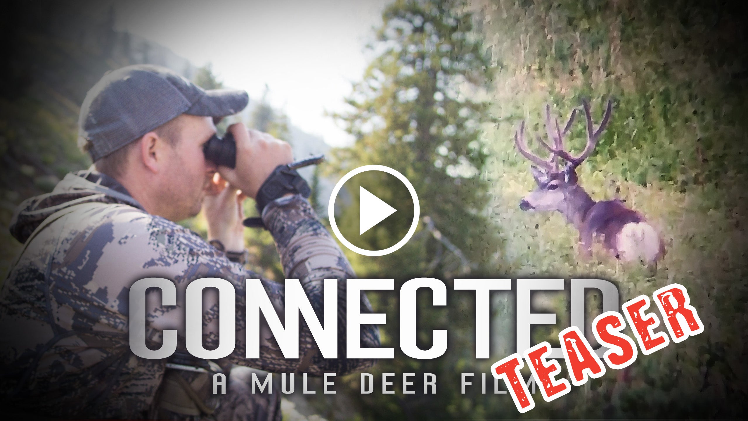 New Mule Deer Film Is Coming Soon! – Altitude Outdoors