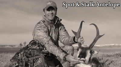 Spot & Stalk Antelope