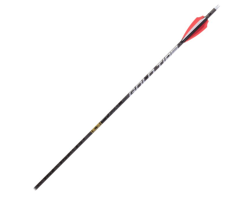 Gold Tip Velocity Valkrie XT Arrows