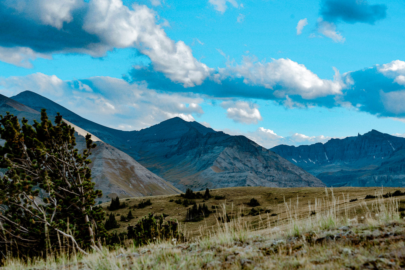 Mountain ridgeline from the Altitude field archive