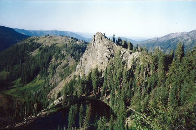 The “Other” High-Country Deer - by Roy Grace