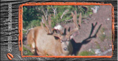 Hunting High Mountains - by Kip Fowler