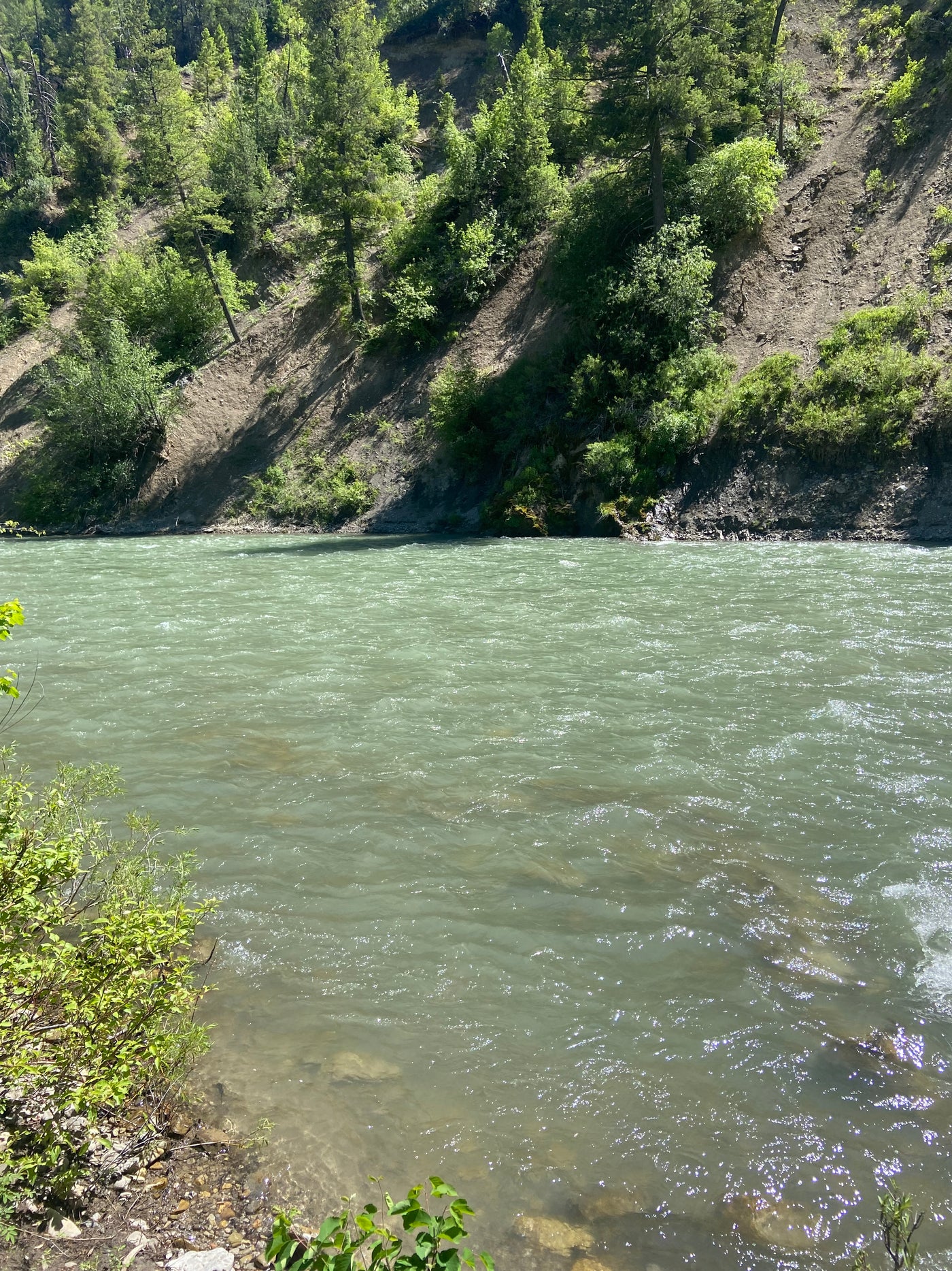 6/22/2022 Star Valley and Jackson Region Fishing Report