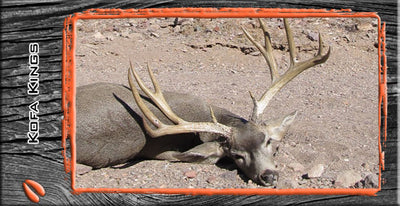 Kofa Kings!!!  Travis Scott