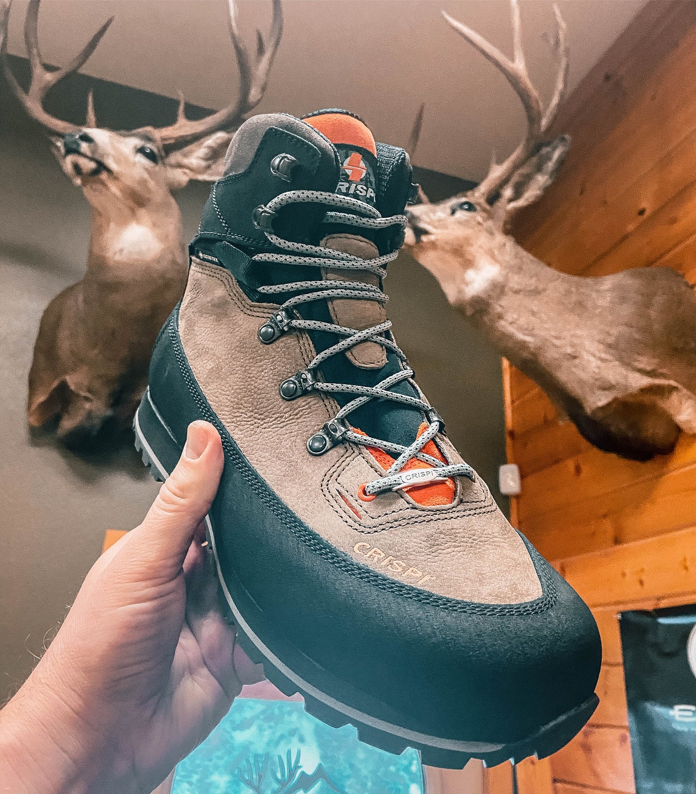 Crispi Lapponia GTX Review - More than just an Early Season Boot