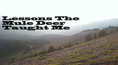 Lessons the Mule Deer Taught Me: Part 1 - By Scott Reekers