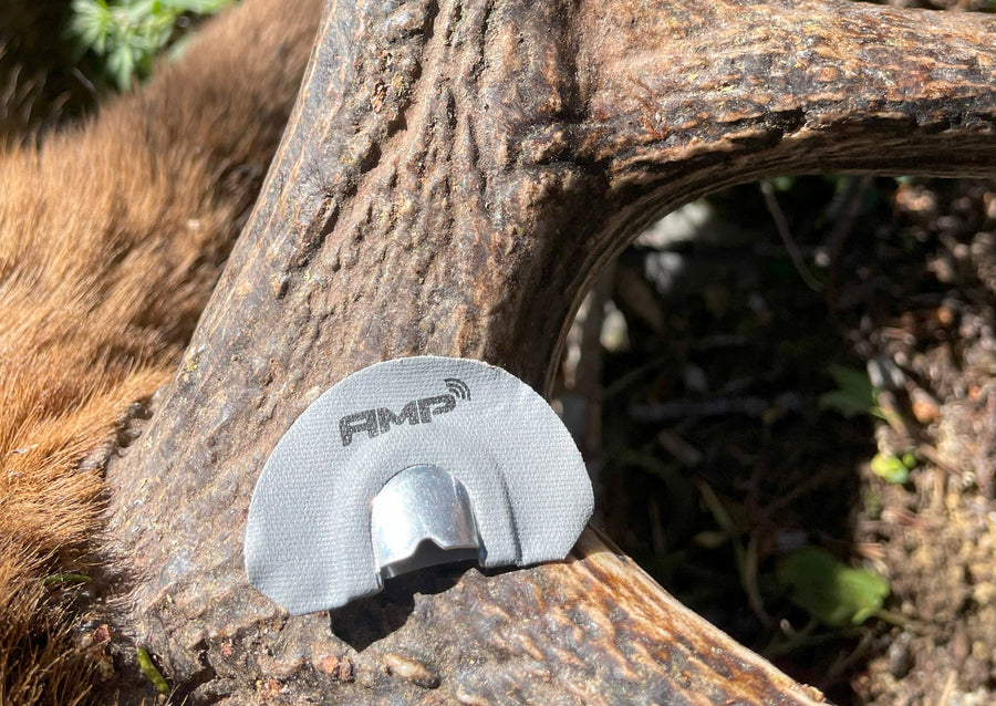 How to Choose the Perfect Phelps Elk Call