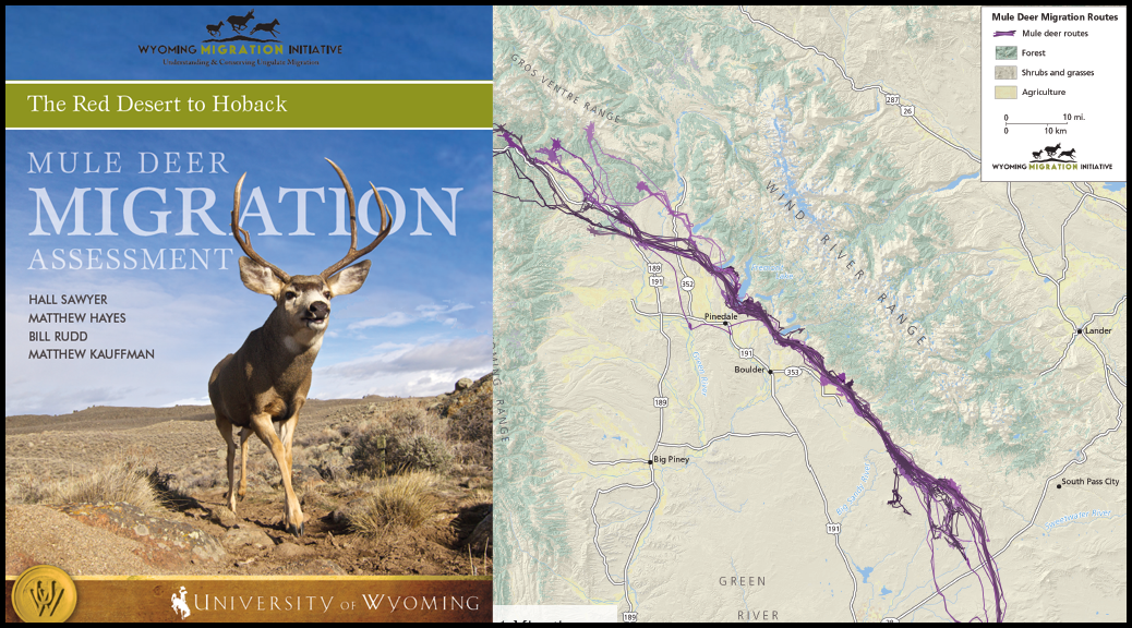 Wyoming Migration Initiative