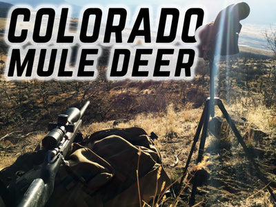Second Chances - 2016 Colorado Mule Deer Hunt