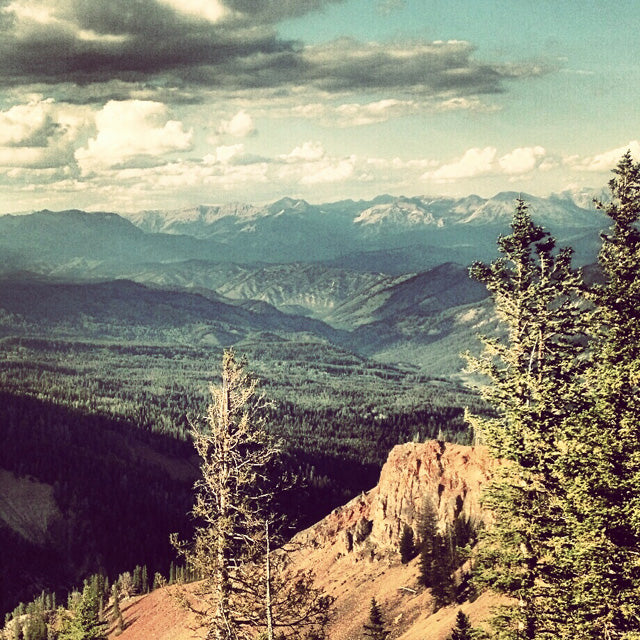 Lessons the Mule Deer taught me: Part 2 -- By Scott Reekers