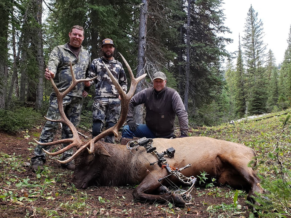340 inch archery bull