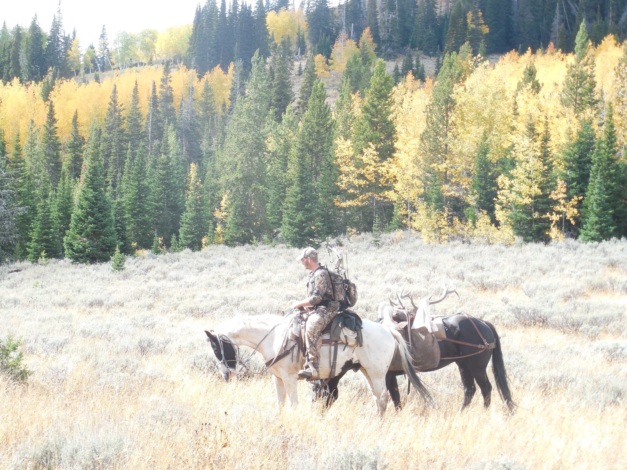 Rangefinders – Altitude Outdoors