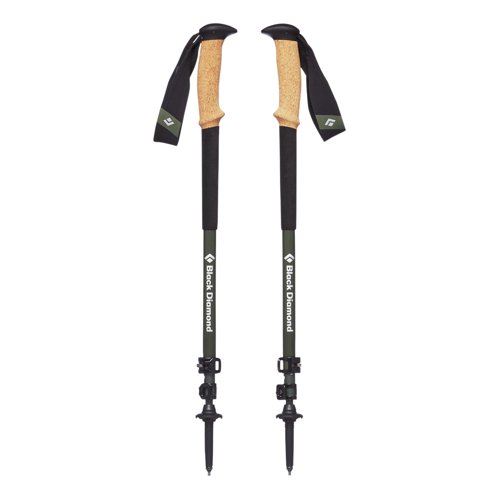 Black Diamond alpine carbon cork trekking poles