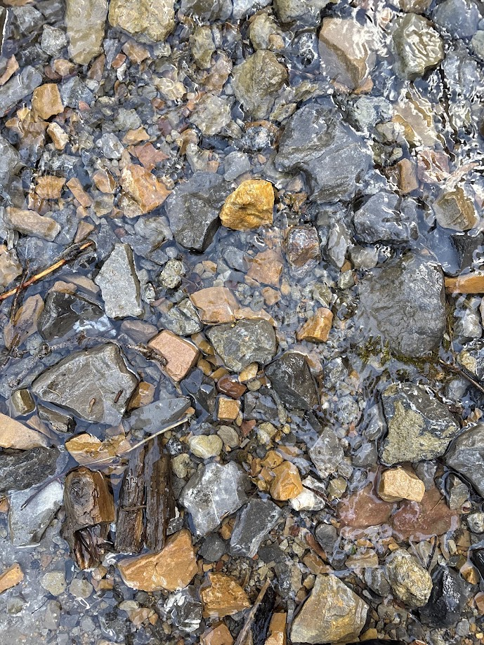 River rocks near Periodic Spring in Swift Creek