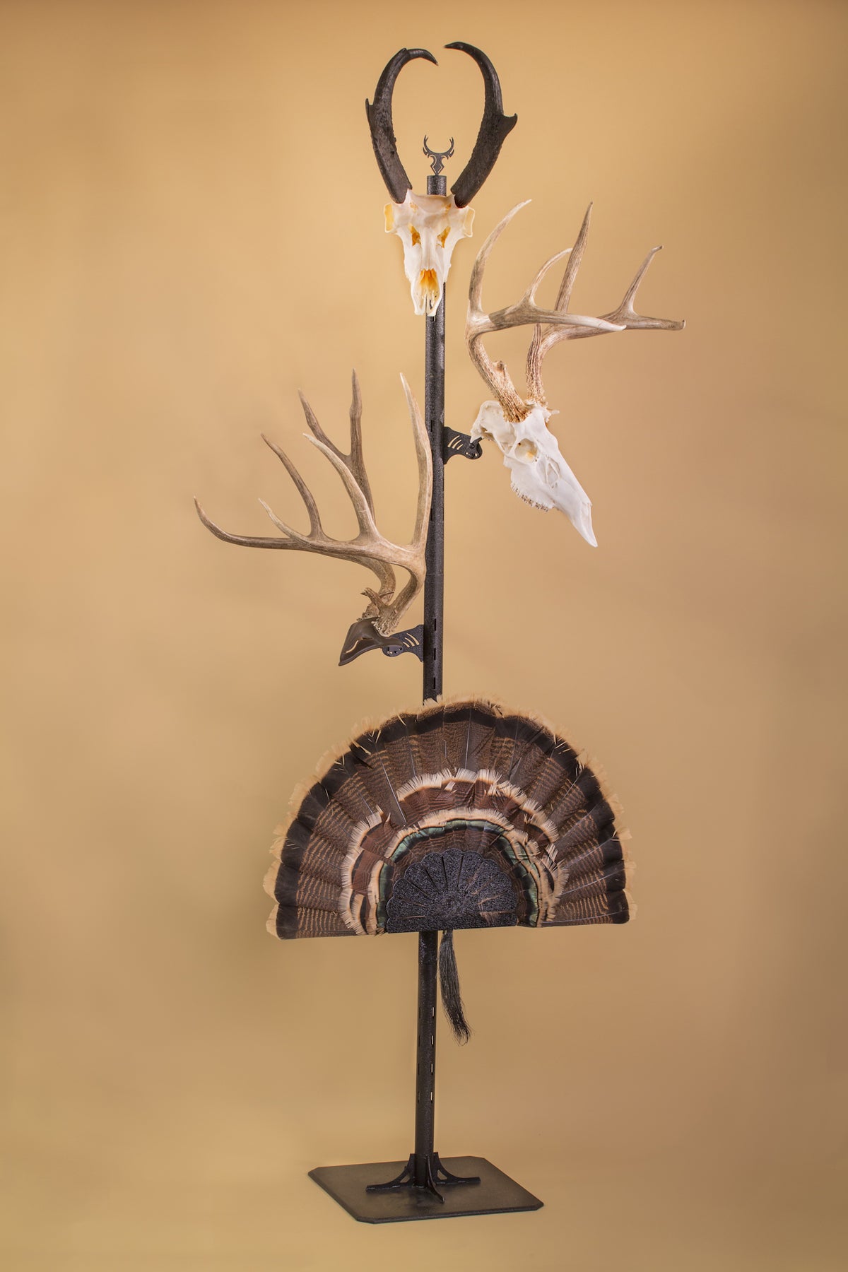 skull hooker trophy tree