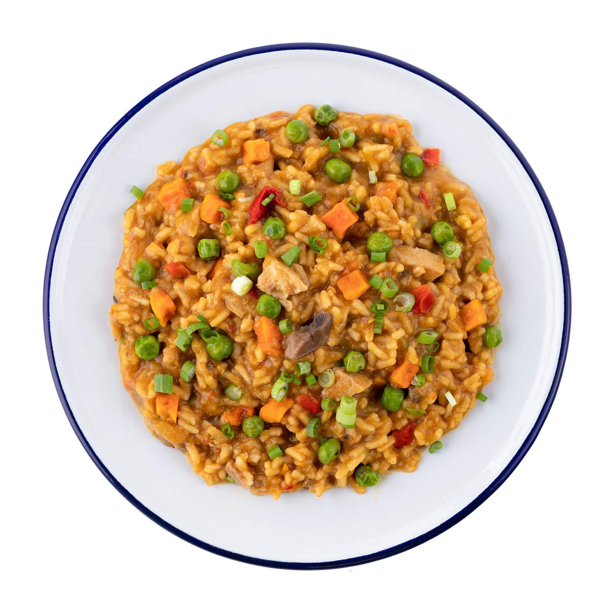 Mountain House Chicken Teriyaki Adventure Meal