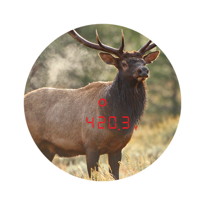 Cronus Rangefinding Binocular 10x50mm lens veiw of a bull elk