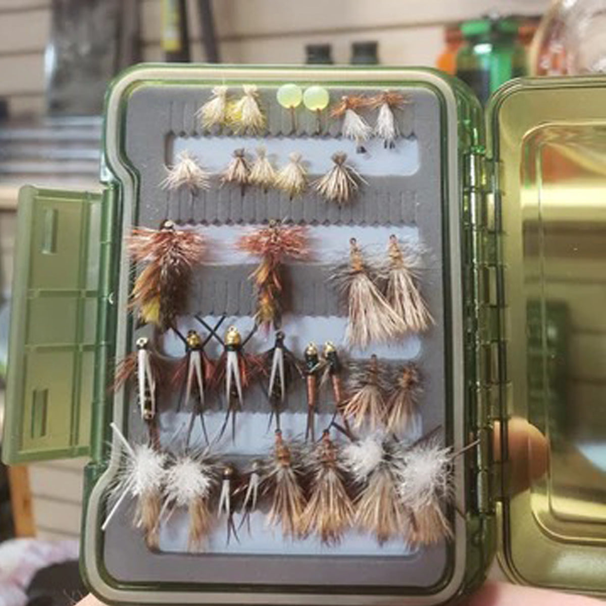 Compact 50 Fly Box Assortment for Trout
