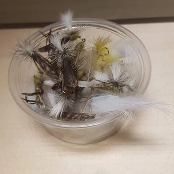 Staff Picked Trout Fly Assortment