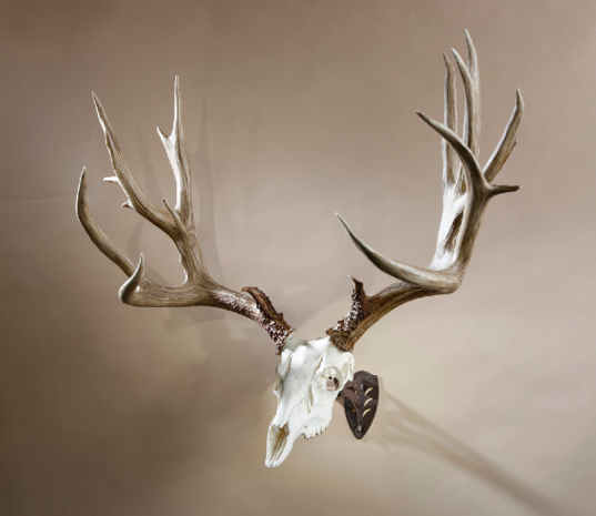 Little Hooker Skull Hanger